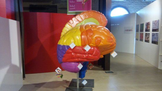 Science Center Scientific Imaginary Pordenone